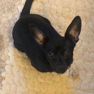 Meet your Posher, Lynn